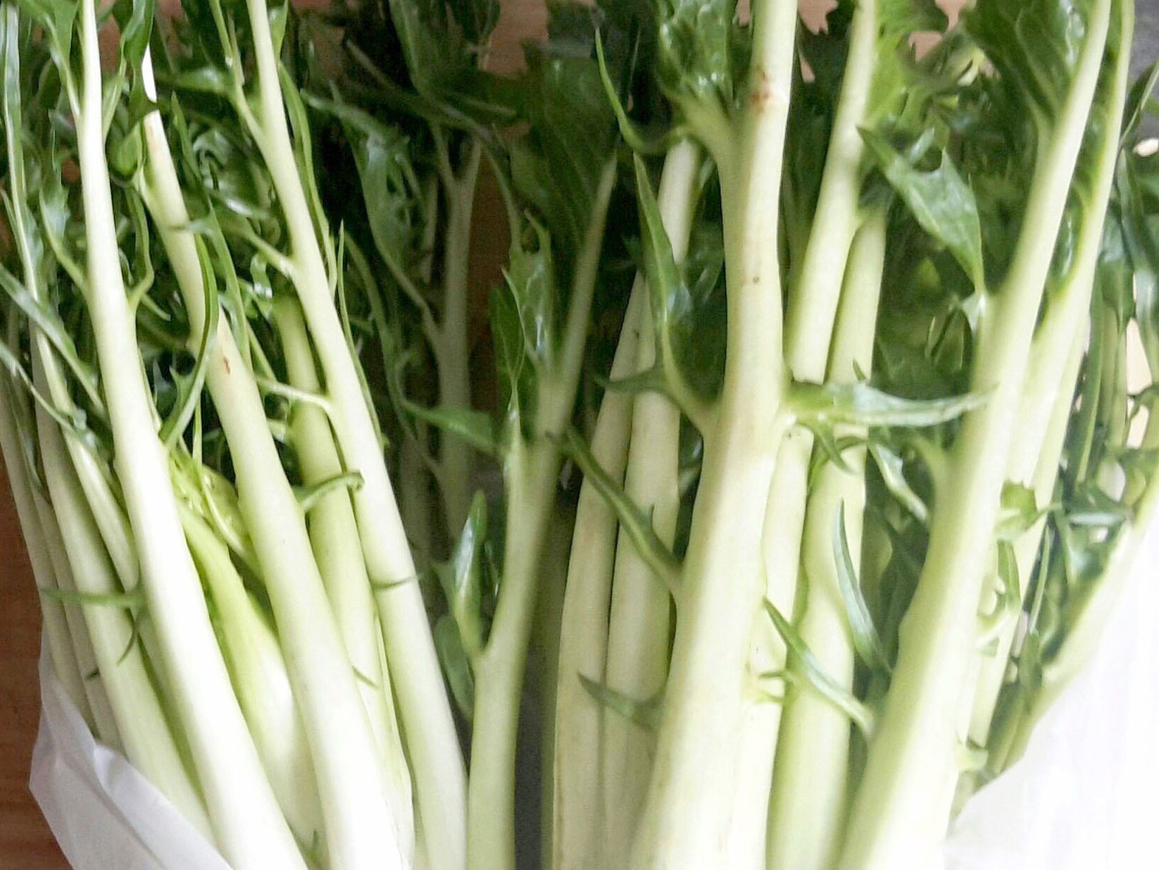 Puntarelle