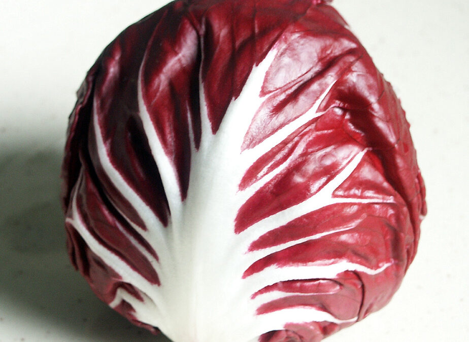 Radicchio