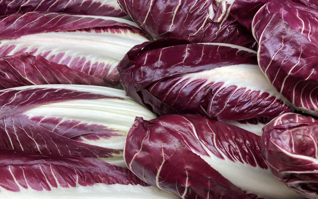 Radicchio – zart, bitter, gesund!