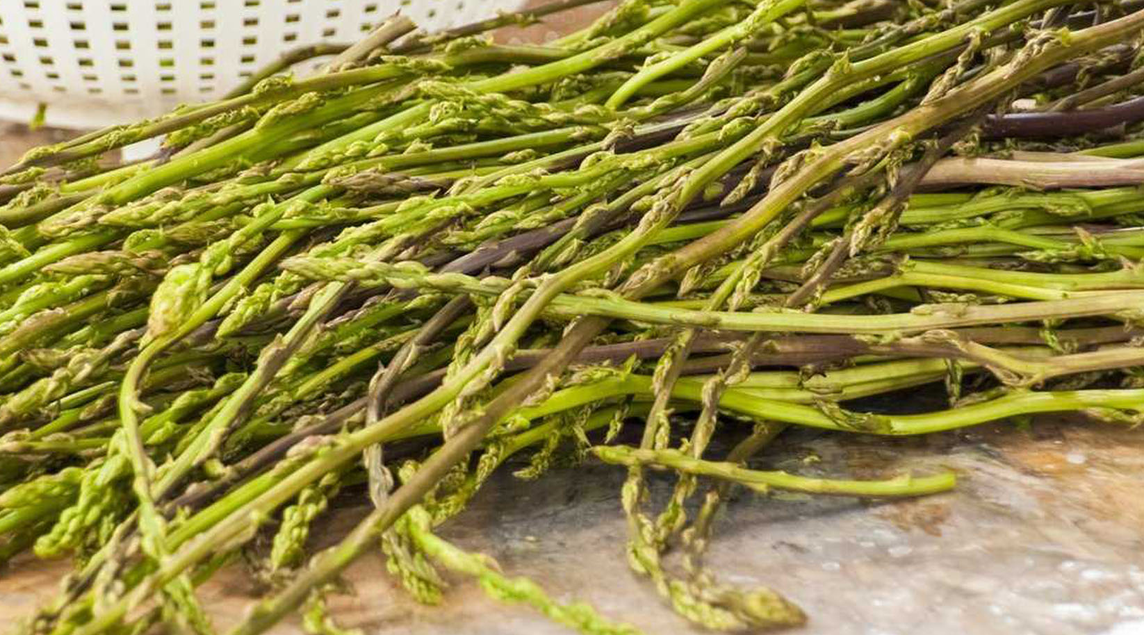 Wildspargelsprossen, liegend