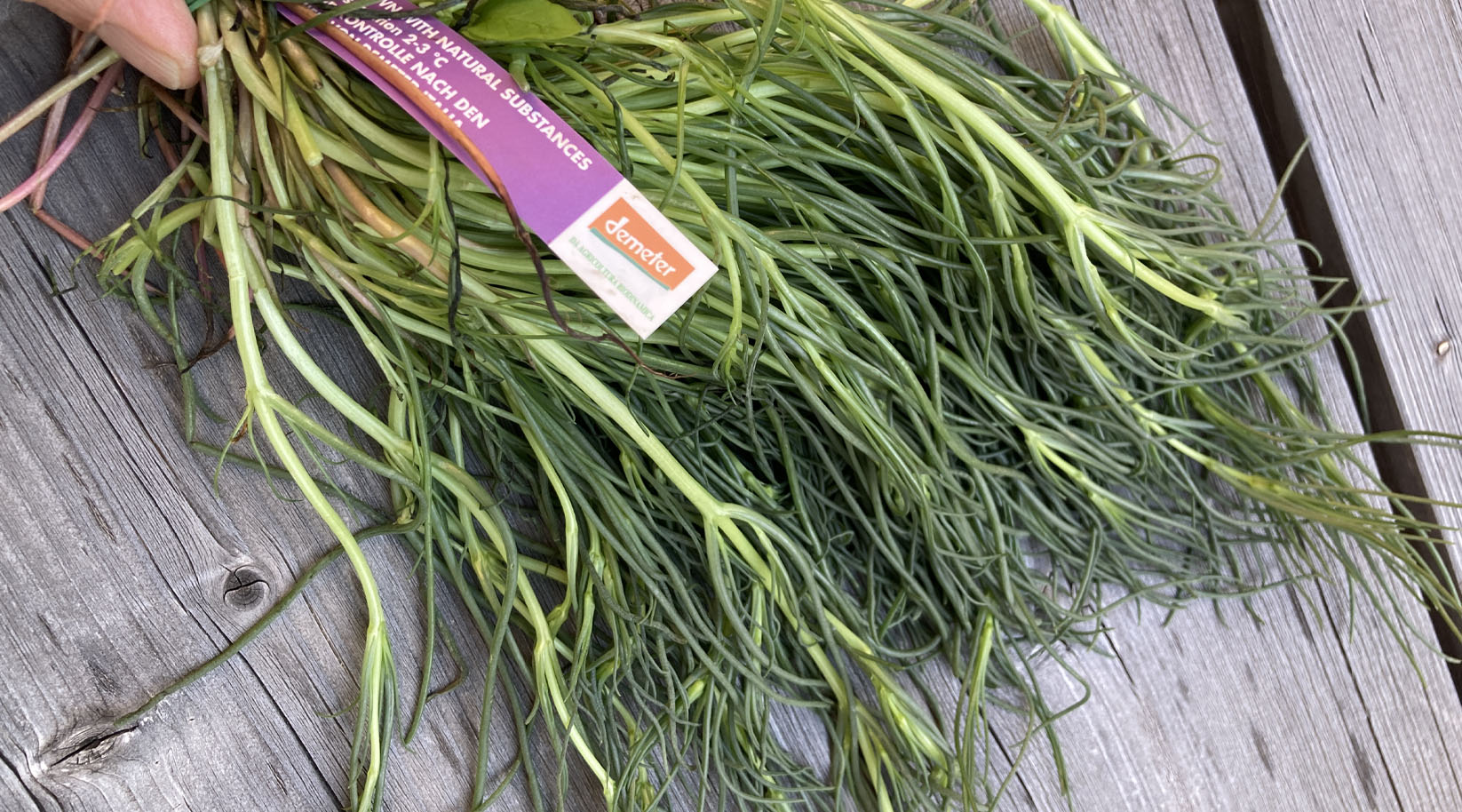 Agretti oder Mönchsbart, ein Bund davon auf einem Tisch. Demeter-Auszeichnung und ein Stück Daumen rechts oben im Bild.